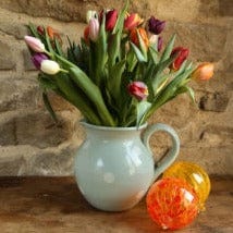 Mixed Tulips  - Great British Florist