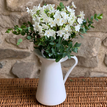Posy of Paperwhites  - Great British Florist