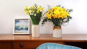Daffodils and Scented Narcissus  - Great British Florist
