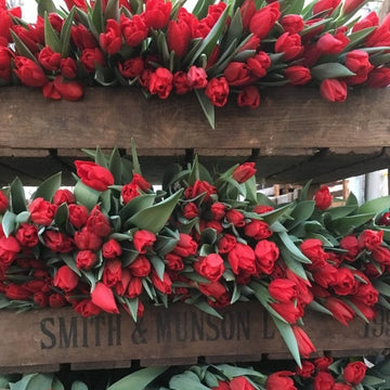 Red Tulips  - Great British Florist